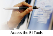 Access to the Business Intelligence Tools